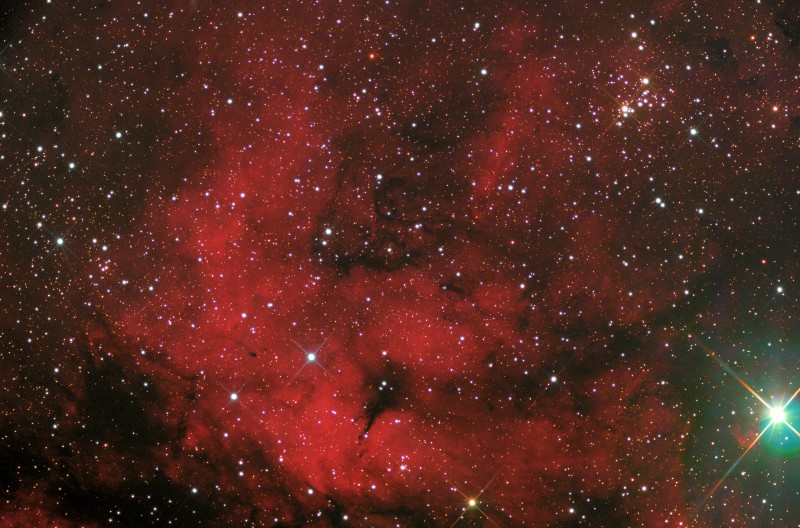 IC1318