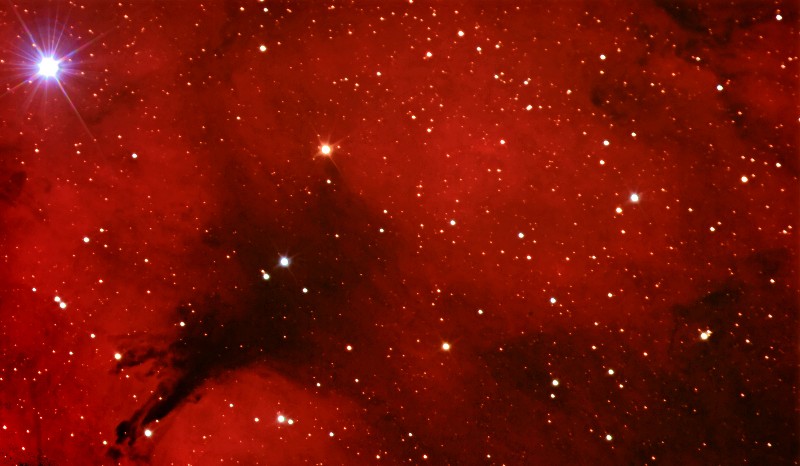 IC1318 (CENTRAL PORTION - NEAR GAMMA CYGNI)