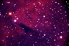 IC1318