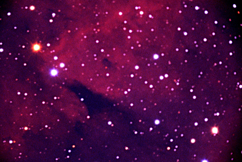 IC1318 (SOUTHWEST PORTION - NEAR GAMMA CYGNI)