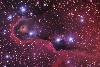 IC1396