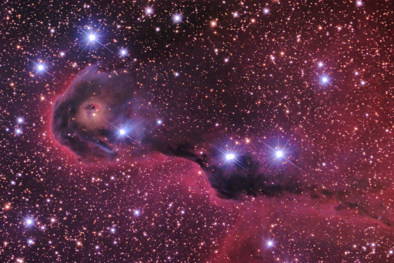IC1396 (CENTRAL PORTION)