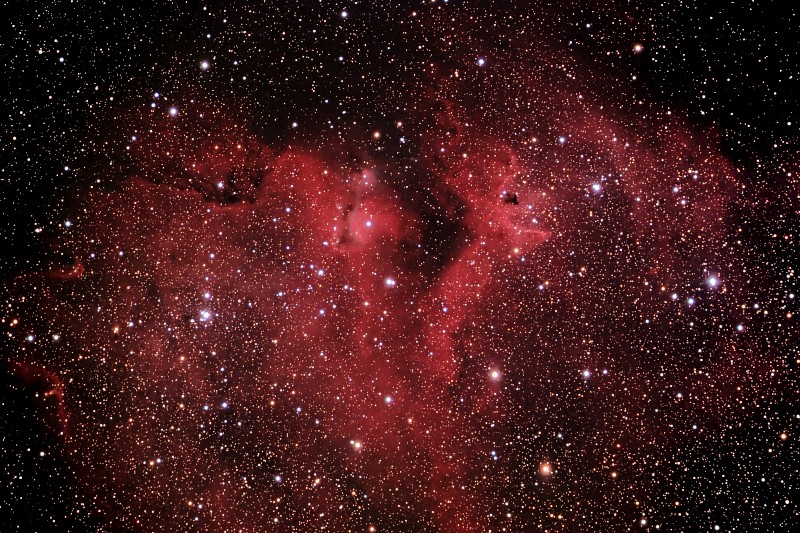 IC1848