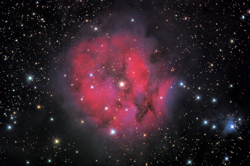 IC5146 - COCOON NEBULA