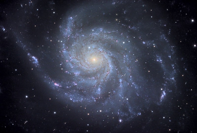 M101