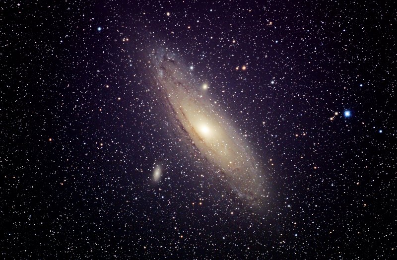 M31