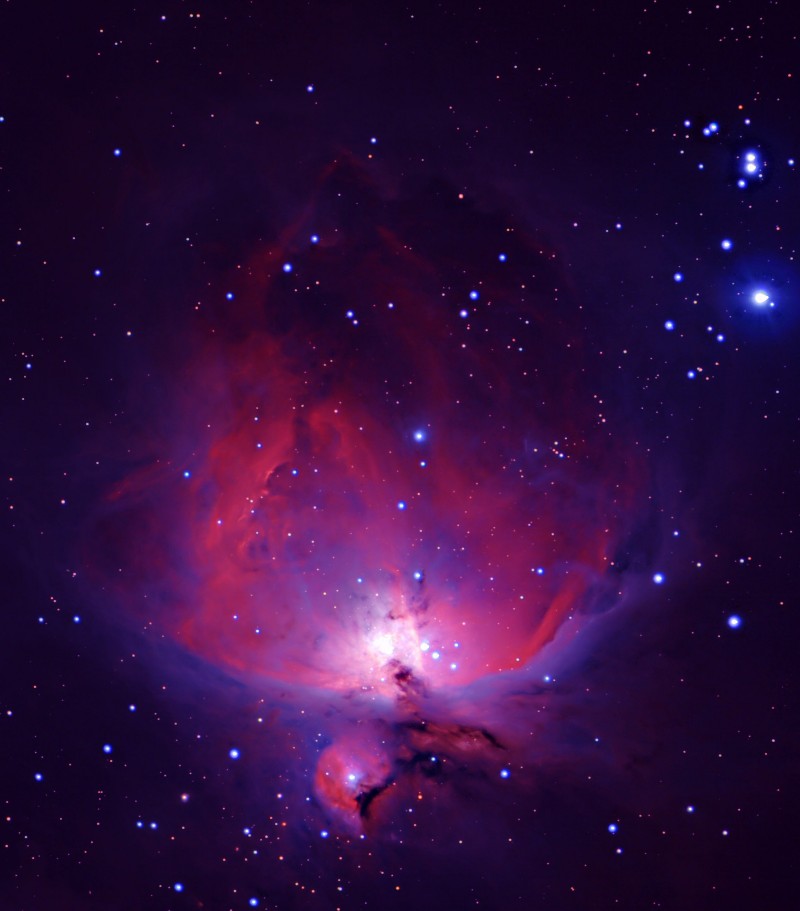 M42 (ORION NEBULA)