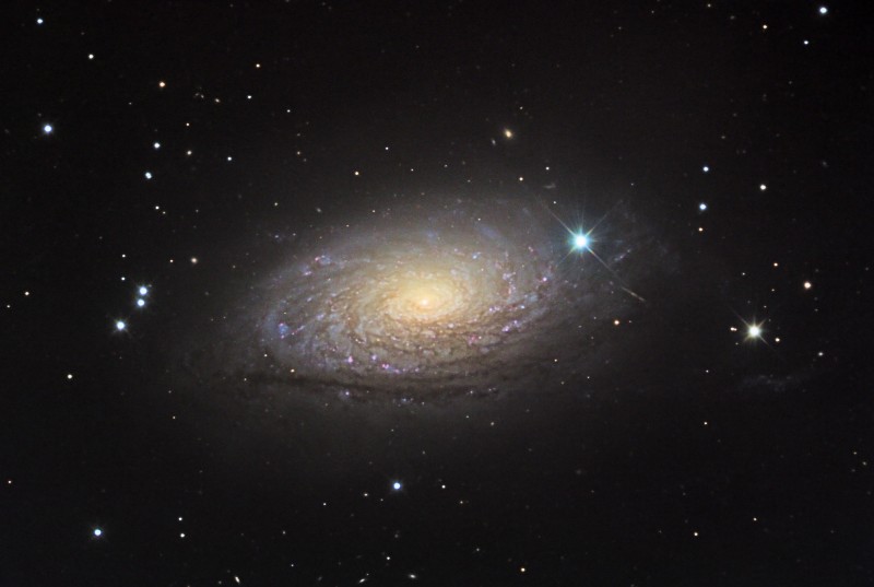 M63