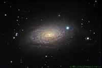 Marcos Mataratzis & Vivek Hira