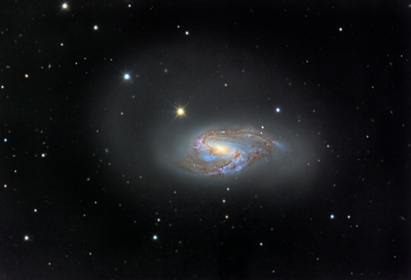 M66