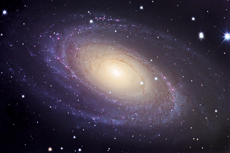 M81