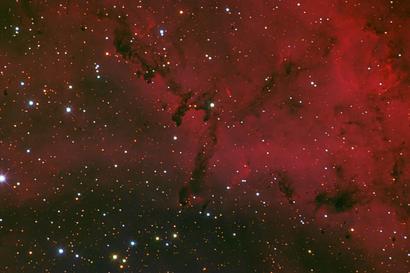 NGC2237 (ROSETTE NEBULA)