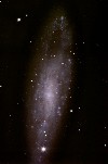 NGC247