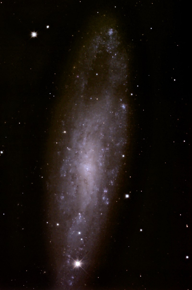 NGC247