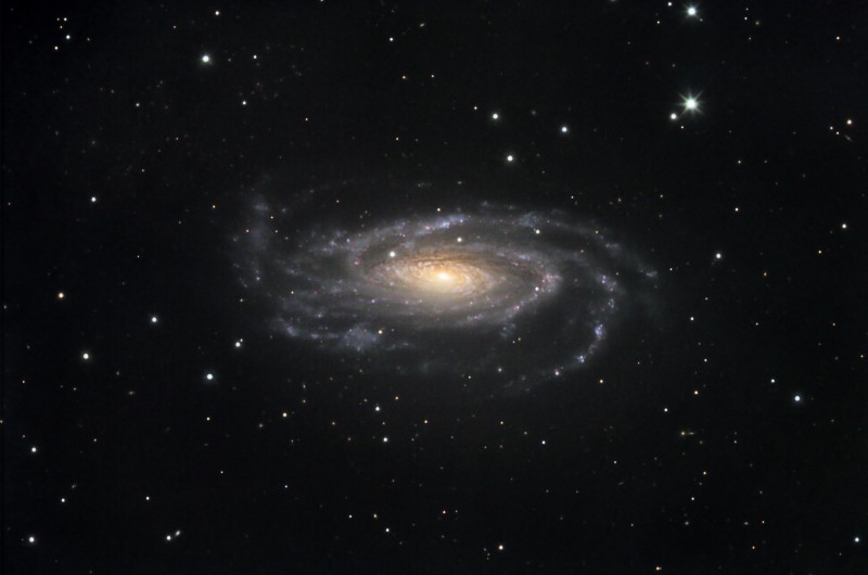 NGC5033