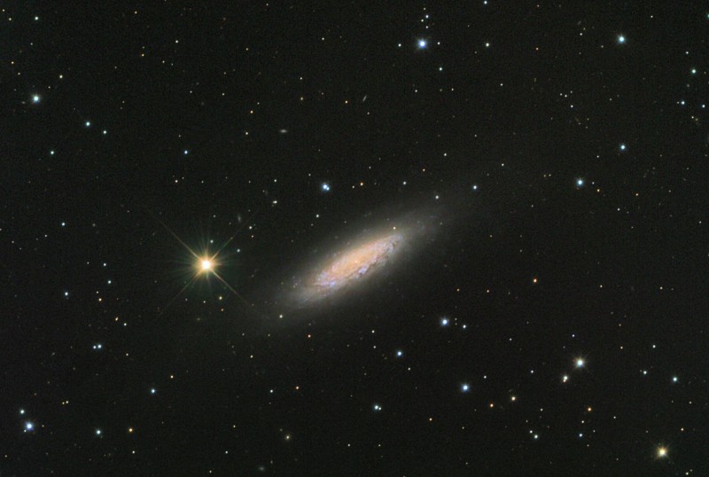NGC6503