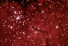 NGC6823