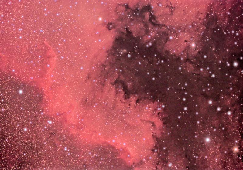 NGC7000 (NORTH AMERICA NEBULA)