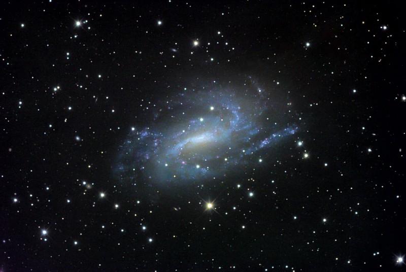 NGC925
